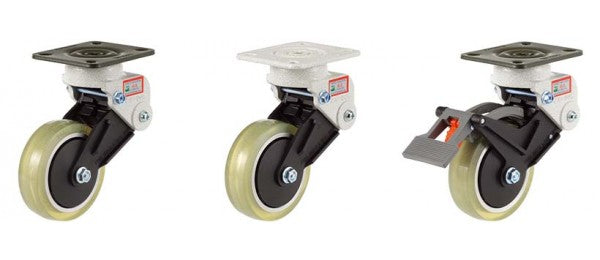 GDS-100-PEU-ASF/BSF/ARF/BRF-LUD