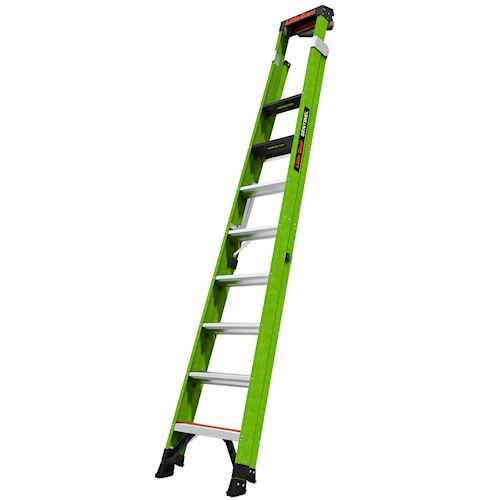 sentinel 10 inch aluminium ladder
